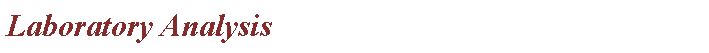 Text Box: Laboratory Analysis