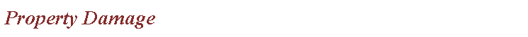 Text Box: Property Damage