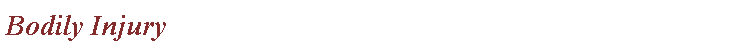 Text Box: Bodily Injury