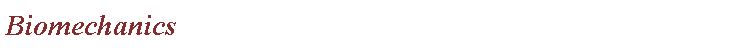 Text Box: Biomechanics 