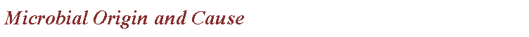 Text Box: Microbial Origin and Cause